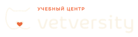 logo_vetversity